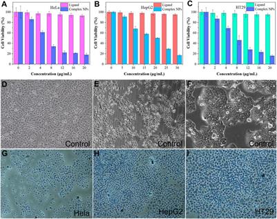 Corrigendum: Rational design of a Gd(III)–Cu(II) nanobooster for chemodynamic therapy against cancer cells